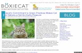 Boxiecat's Green Business Practices