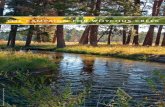 The Deschutes Land Trust's Campaign for Whychus Creek