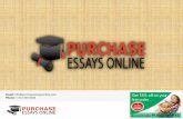 Buy Essays - Purchase Essays Online