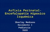 Asfixia perinatal sher