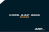Campeonato de fútbol AAP 2014