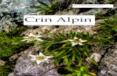 Crin Alpin nr. 3 Noiembrie 2014