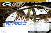 Eddy Magazine - River Action, Inc.