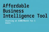 Affordable business intelligence tool