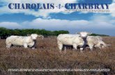 Revista Charolais Charbray Abril 2014