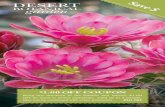 Desert Botanical Garden Rack Brochure 2014-15
