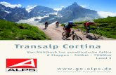 Transalp Cortina