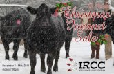 2014 IRCC Christmas Internet Sale