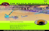 IPLOCA Newsletter 61