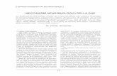 Artículo en Italiano: Mecanismos Neurobiológicos del DHS por Dr. Danilo Toneguzzi