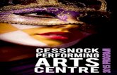 CESSNOCK PERFORMING ARTS CENTRE | 2015