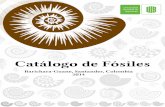 Catálogo Fósiles Barichara-Guane 2014