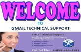 Contact Gmail Password Recovery 1-855-664-2181