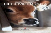 Semex - December 2014 USA Jersey Catalog