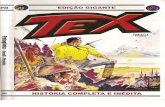 Tex gigante # 23 patagonia (2009)