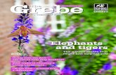 The Grebe Magazine Spring 2014