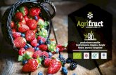Agrifruct // L'esperienza dà i suoi frutti (italiano)