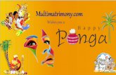 Pongal Festival Offer
