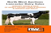 NWA Lancaster January Dairy Catalogue