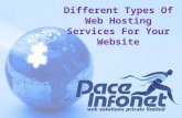 Web Hosting Company Pune