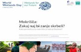 Mokrišča v svetu, Sloveniji in na Goričkem