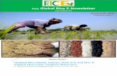 26th january,2015 daily global rice e newsletter by riceplus magazine