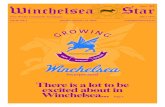 Winchelsea Star 21-Jan-2015 (Vol38 Ed03)