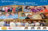Mercy Hospital of Buffalo Annual Nursing Report: 2014