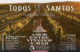 Todos Santos - Destination Weddings 2015