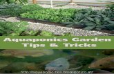 Aquaponics garden tips and tricks ebook