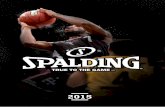 Spalding 2015 (uhlsport)