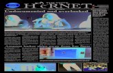 The State Hornet Issue 13