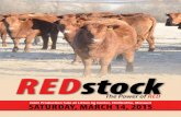 2015 REDstock Joint Production Sale