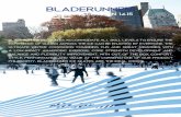 Catálogo Bladerunner hielo invierno 2014/15