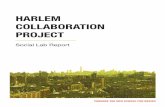 Harlem Collaboration Project report