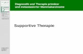 15 Supportive Therapie