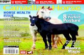 Canadian Horse Journal - SAMPLE - March 2015