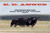 ED Angus - 15th Annual Bull Sale