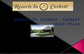 Resort in corbett