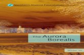The Aurora Borealis Newsletter