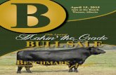 Benchmark "Makin'  the Grade" Bull Sale