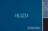 Aura folder 2