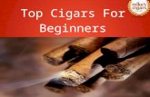 Top Cigars for Beginners
