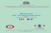 Manual de Organización de las UNAP