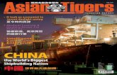 Asian Tigers Investor Report