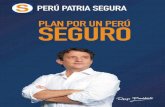 Plan de Gobierno de Renzo Reggiardo