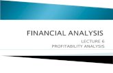 Lecture 6 - Profitability Analysis