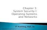 Chapter 3 Systems Security 1 - Operating Systems and Networks