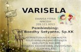 Varicella Dianisa