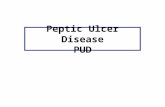 13. Peptic Ulcer Disease (PUD)